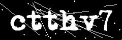 图形验证码