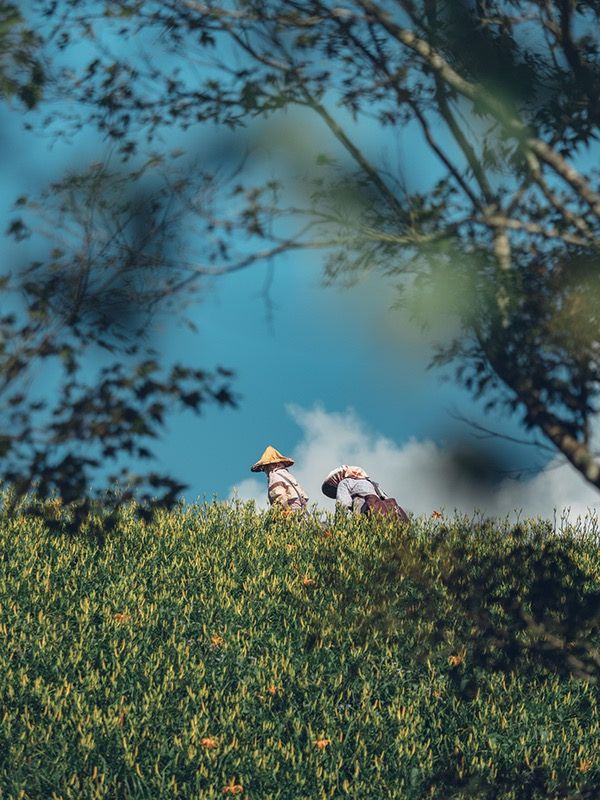 一月新绿，与春书