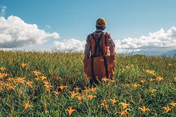 淡人与TA的雨.续