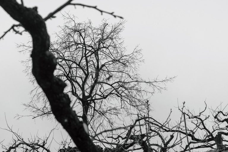 千年暗室，一灯即明