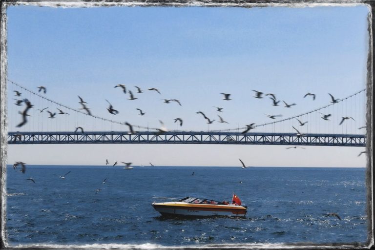 密码保护：雨季未满的我们